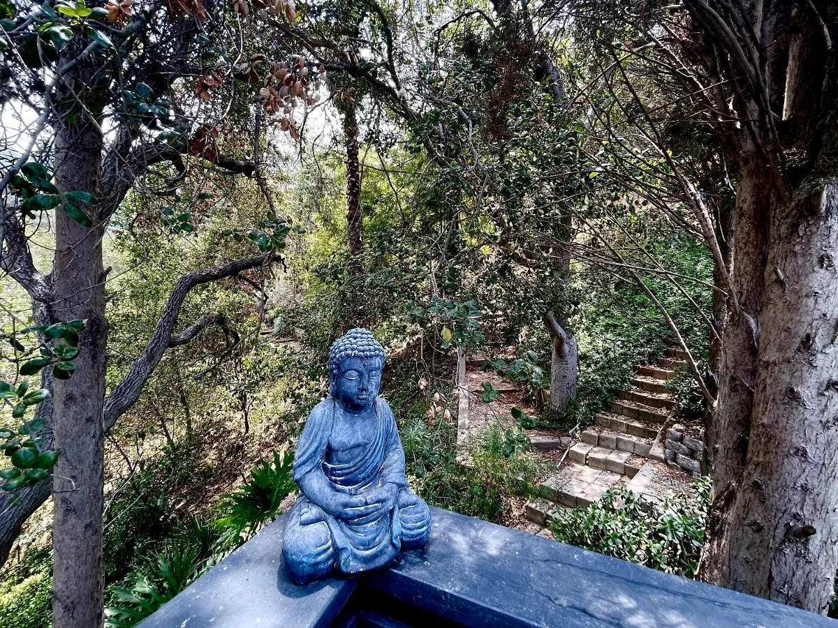 Shanti Om Retreat In Beverly Hills
